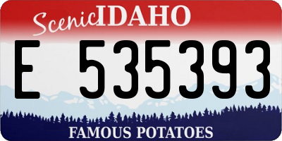 ID license plate E535393