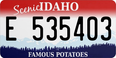 ID license plate E535403