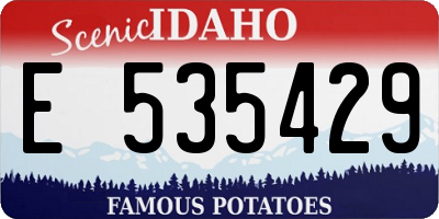 ID license plate E535429
