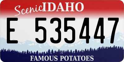 ID license plate E535447