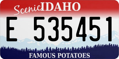ID license plate E535451