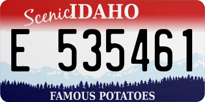 ID license plate E535461