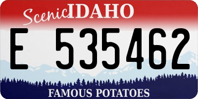 ID license plate E535462