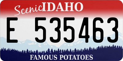 ID license plate E535463