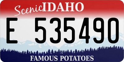ID license plate E535490