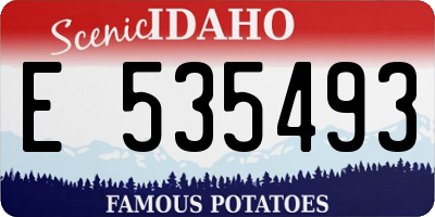 ID license plate E535493