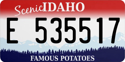 ID license plate E535517