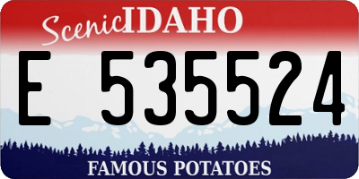 ID license plate E535524