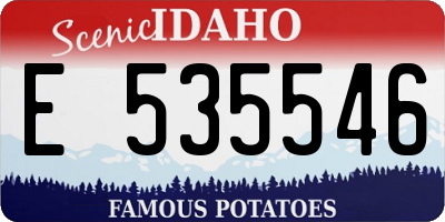 ID license plate E535546