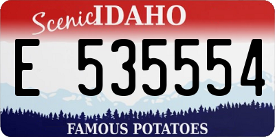 ID license plate E535554