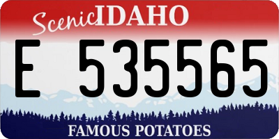 ID license plate E535565