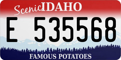 ID license plate E535568