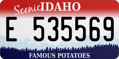 ID license plate E535569