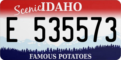 ID license plate E535573