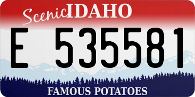 ID license plate E535581