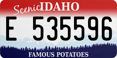 ID license plate E535596