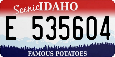 ID license plate E535604