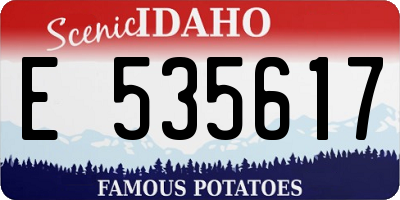 ID license plate E535617