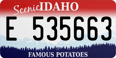 ID license plate E535663