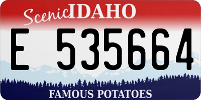 ID license plate E535664