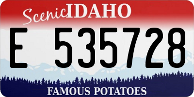 ID license plate E535728