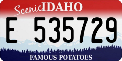 ID license plate E535729
