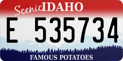 ID license plate E535734
