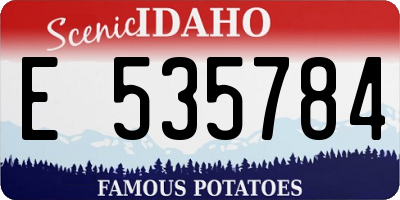 ID license plate E535784