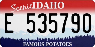 ID license plate E535790