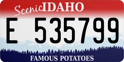 ID license plate E535799