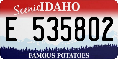 ID license plate E535802