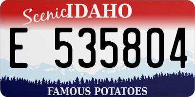 ID license plate E535804