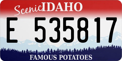 ID license plate E535817