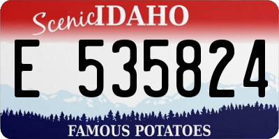 ID license plate E535824