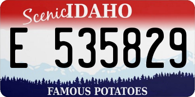 ID license plate E535829