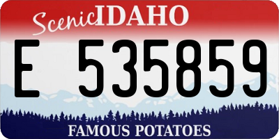 ID license plate E535859
