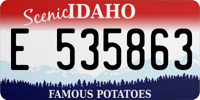 ID license plate E535863