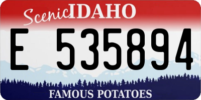 ID license plate E535894