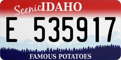 ID license plate E535917