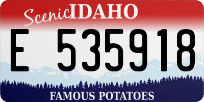 ID license plate E535918