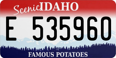 ID license plate E535960