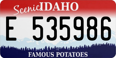 ID license plate E535986
