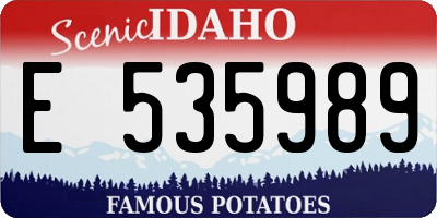 ID license plate E535989