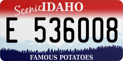 ID license plate E536008