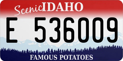 ID license plate E536009