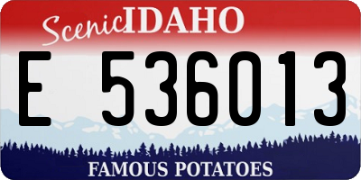 ID license plate E536013