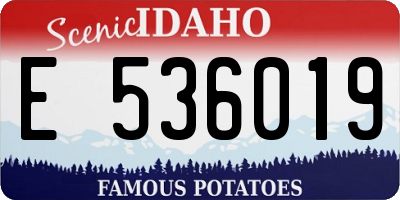 ID license plate E536019