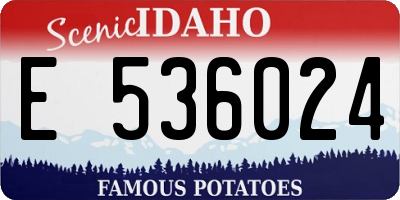 ID license plate E536024