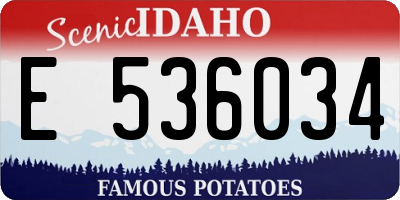ID license plate E536034