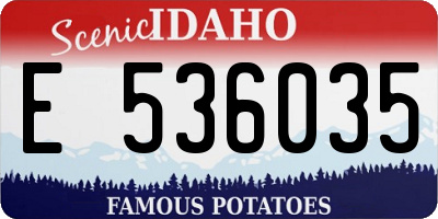 ID license plate E536035